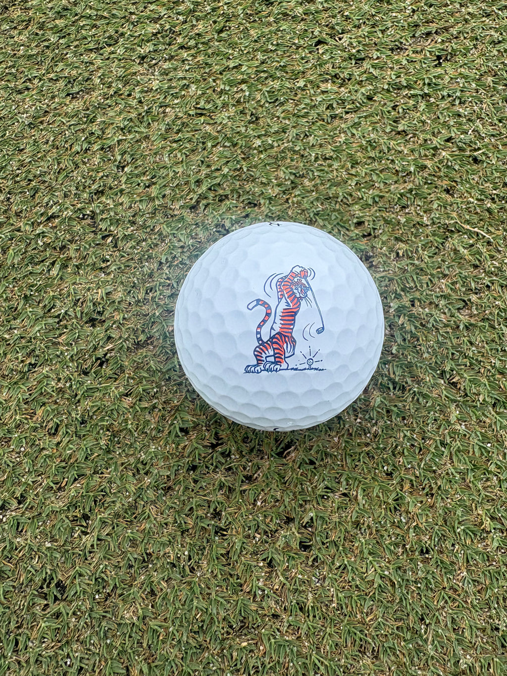 Titleist Swingin Aubie ProV1/ProV1x Sleeve