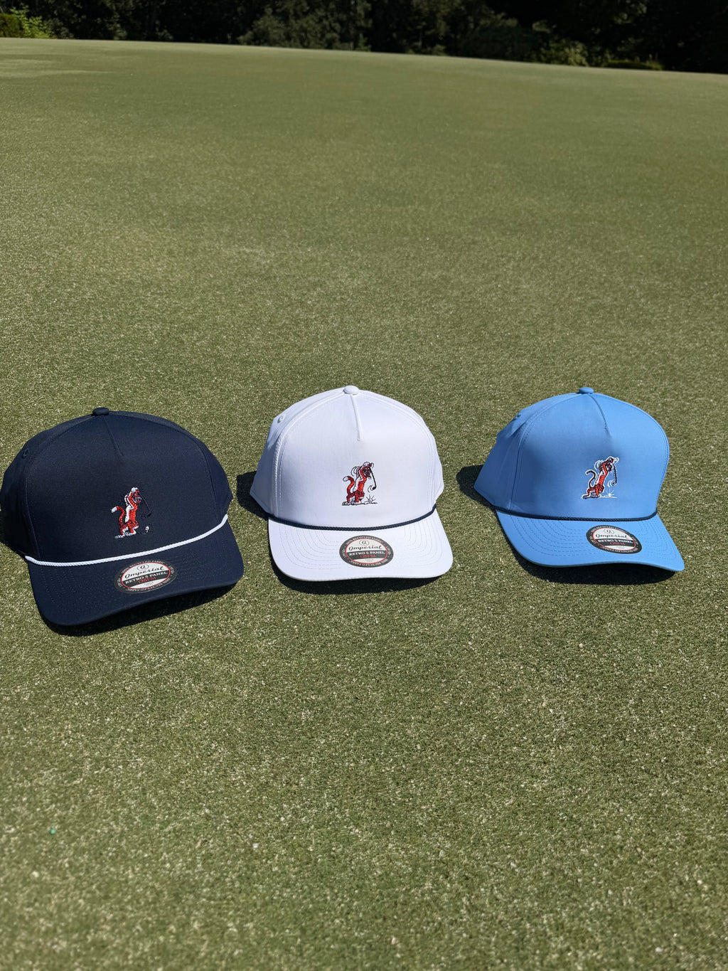 Imperial Structured Swingin Aubie Rope Hat