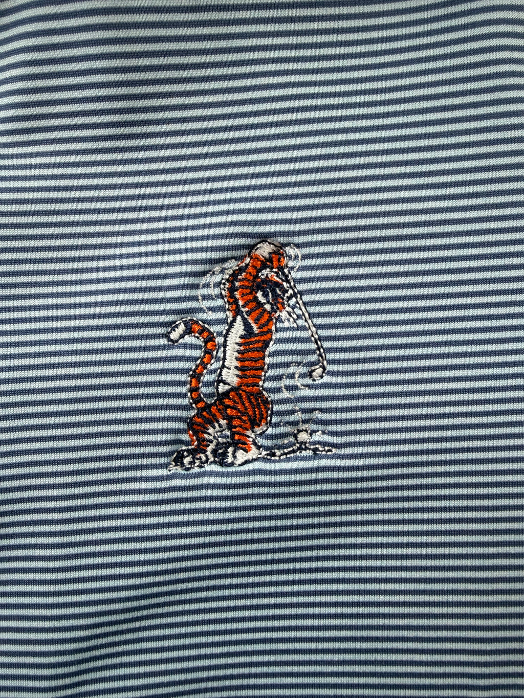 Youth Holderness & Bourne Swingin Aubie Polo